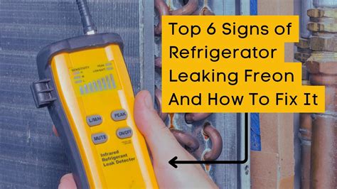 can freon leak from a refrigerator|Refrigerator Freon Leak: Detect & Fix In Under 20 Minutes